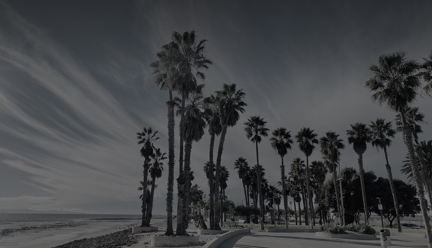 Beach with palms